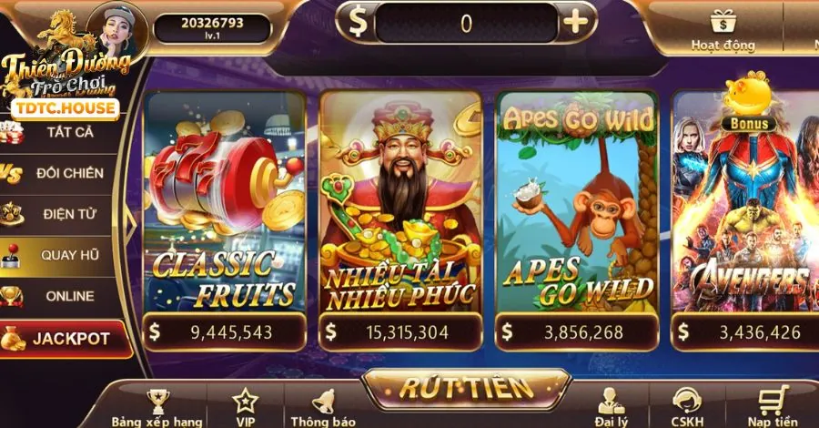 Bước 2 cài đặt hồ sơ cấu hình banca29 code