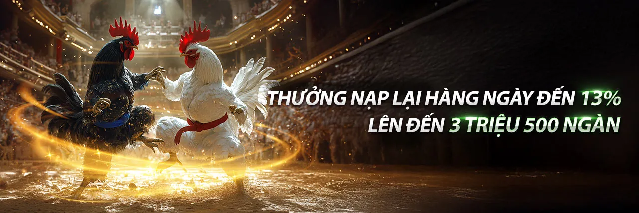 Các trò chơi casino hàng đầu tại Banca29